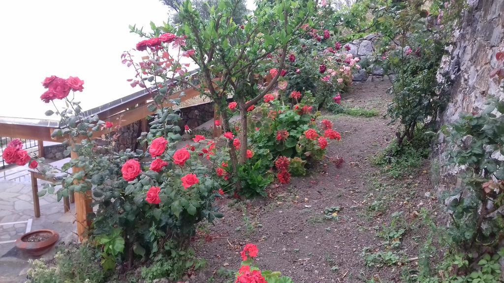 Irida Aparthotel Georgioupoli Buitenkant foto